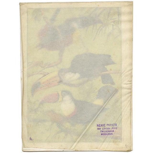 William Neave Parker, Toucan Birds, 1950s, Paper For Sale - Image 6 of 9