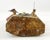 Antique Spanish Colonial Polychrome Carved Wood Bishop Saint Bulto With Glass Eyes, Circa 1800 For Sale - Image 10 of 10