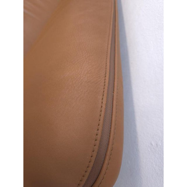 DS-125 3-Seater and 2-Seater Sofa in Brown Leather by Gerd Lange for de Sede, Set of 2 For Sale - Image 10 of 18