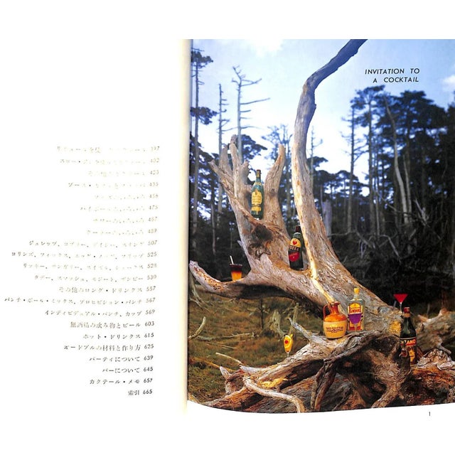 Complete Recipes for Mixing Drinks For Sale - Image 4 of 11