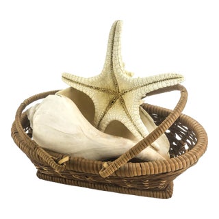 Vintage Basket With Genuine Sea Shell & Starfish For Sale