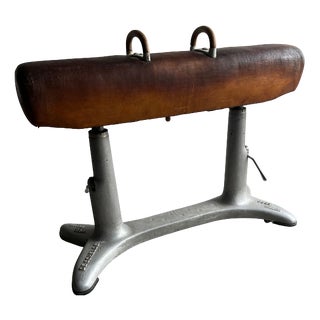 Vintage Gym Pommel Horse from De Schelde, Holland For Sale