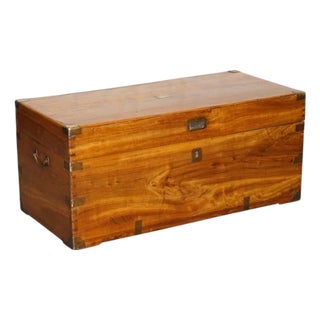 Antique English Camphor Wood Storage Trunk, 19th Century For Sale