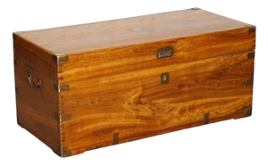 Antique English Camphor Wood Storage Trunk, 19th Century