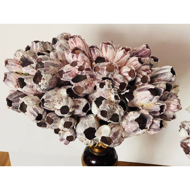 1970s 1970s Gorgeous Pair Sea Shell Barnacles on Stands Organic Modern For Sale - Image 5 of 5