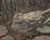 Duck Sitting by Jim Beckner | Oil on board of a duck resting in a pond among lily pads. For Sale