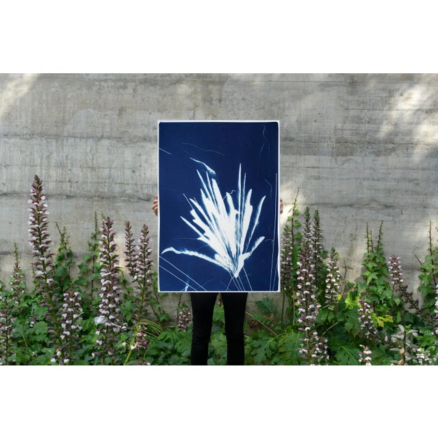 Blue 2020 "Sparkling Firework Burst" Contemporary Cyanotype by Kind of Cyan For Sale - Image 8 of 12