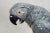 Antique 1925 Hutschenreuther Fritz Klee African Gray Parrot Porcelain Figurine For Sale - Image 9 of 13