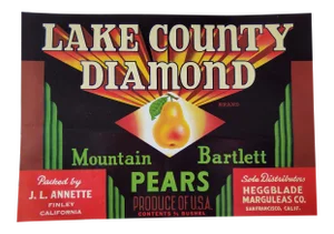 Circa 1930s Lake County California Bartlett Pears Fruit Crate Label