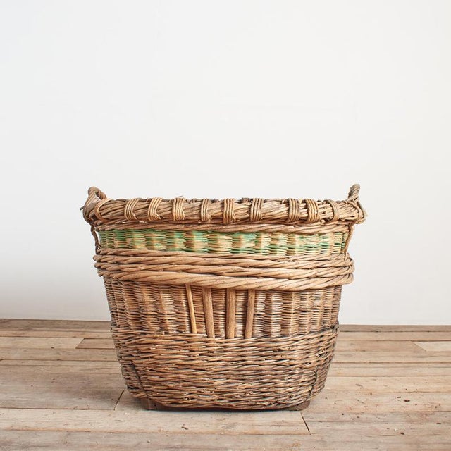 A beautiful hand-made wicker champagne basket from France used to harvest grapes in the champagne region. The coloured...
