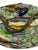 Late 19th Century Large Palissy Ware Majolica Platter by Alfred Renoleau, French, Circa 1885 For Sale - Image 5 of 13