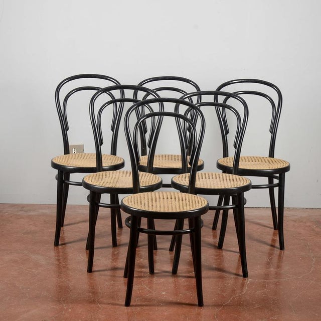 Chairs in the style of Thonet, Set of 6 For Sale - Image 9 of 9