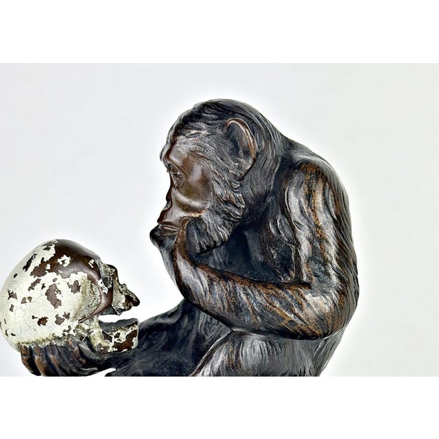 Monkey with Skull, Bronze, Circa 1900, By the German Sculptor Hugo Wolfgang Reinhold For Sale - Image 9 of 15