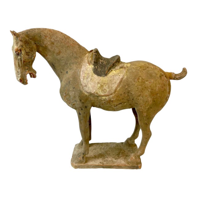 Chinese Tang Dynasty Terra Cotta Horse For Sale