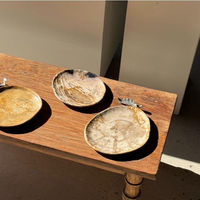 Small Trinket Tray in Speckled Beige Petrified Wood For Sale - Image 9 of 18