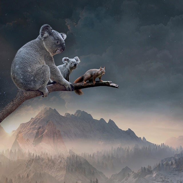 Protect What You Love by Marcin Owczarek | Photography on Fine Art Hahnemühle of animals in a surreal landscape For Sale - Image 4 of 5