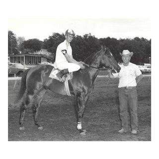 1960s Equestrian Photograph For Sale