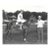 1960s Equestrian Photograph For Sale