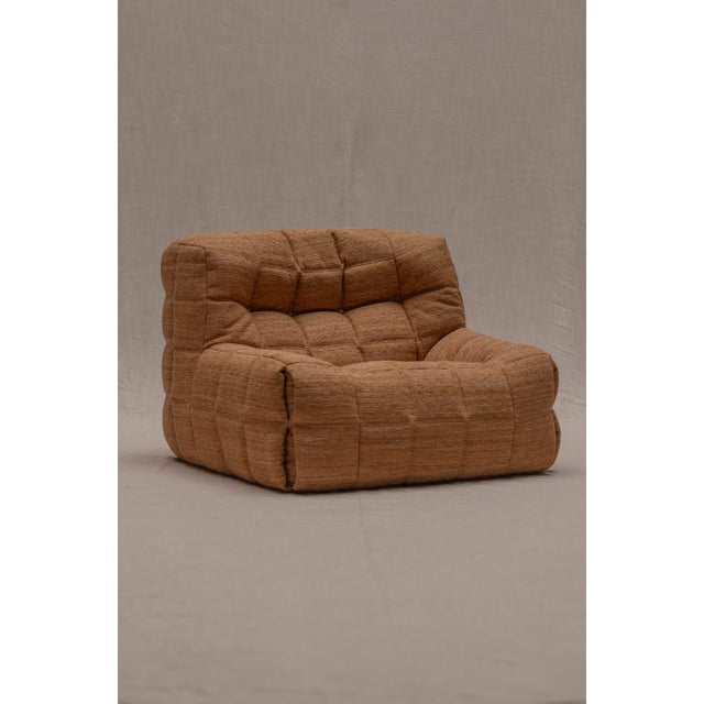 Kashima Easy Chair by Michel Ducaroy for Ligne Roset, 1970s For Sale - Image 15 of 15