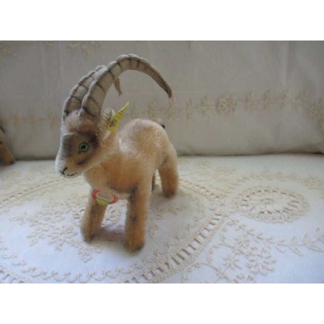 Vintage 1960's Steiff Rocky Goat, Tags & Button, Short Mohair For Sale - Image 9 of 10