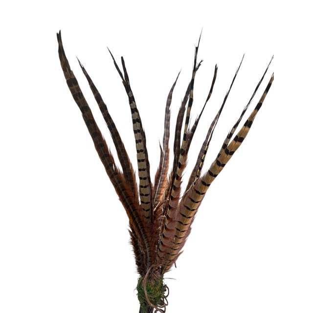 Vintage Natural Pheasant Feather Sculptural Arrangement on Metal Base Sculpture With Moss & Twisted Vine For Sale In Miami - Image 6 of 12