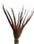 Vintage Natural Pheasant Feather Sculptural Arrangement on Metal Base Sculpture With Moss & Twisted Vine For Sale In Miami - Image 6 of 12