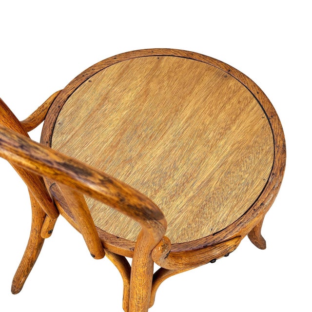 Wood Early 20th Century Vienna Secession Light Stain Bent Oak Chair No. 7 Attributed to Thonet For Sale - Image 7 of 7