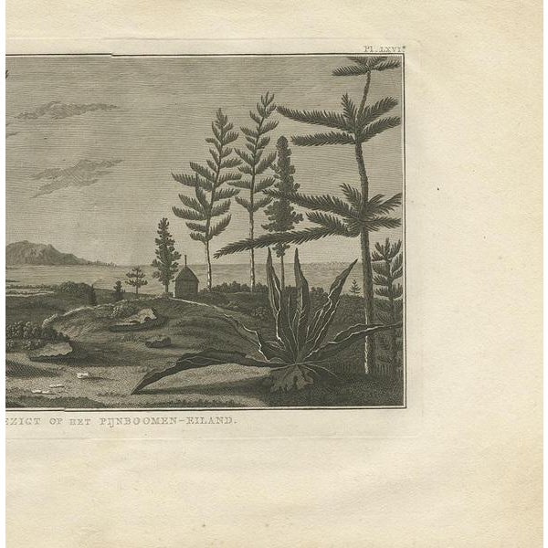 J. Cook, Pine Tree Island, 1803, Print For Sale - Image 4 of 5