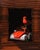 Ambulance Chaser by Shawn Sullivan | Oil on Panel Red bird on a toy ambulance in a wooden frame. For Sale