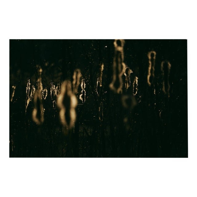 Jaume Llorens, Deep Inside III #6, 2018, Giclee Print For Sale