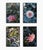 Paper 'First Frost / Final Bloom' Set of Botanical Photographs, Floral Art Series of Four 12 X 18" Fine Art Photography Prints For Sale - Image 7 of 7