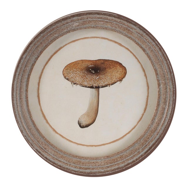 Wood Framed Mushroom Print (Set of 4) For Sale - Image 7 of 7