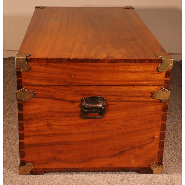 Camphor Wood Campaign Chest For Sale - Image 8 of 15