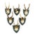 Set of Six Roe Deer Trophies on Wooden Plaques Salem Germany Ca. 1900s For Sale