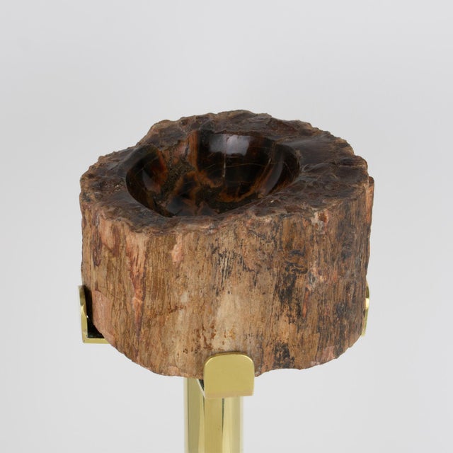 Mid-Century Brass and Petrified Wood Ashtray Vide Poche Side Table, circa 1960 For Sale - Image 12 of 14