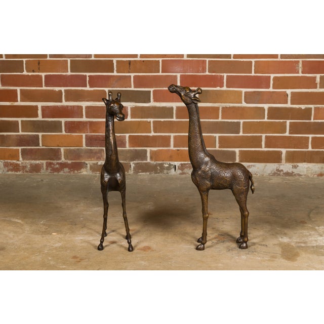 Metal Pair of Small Bronze Midcentury Giraffe Sculptures, American Art For Sale - Image 7 of 12