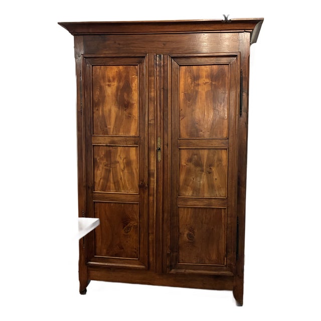 19th Century Provincial Empire Walnut Armoire | Paneled Doors | 94” Tall Statement Piece Large Scale Armoire For Sale
