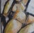 Florentine School Artist, Hidden Portraits XXXII, 1980s-1990s, Framed For Sale - Image 7 of 14