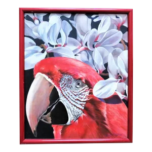 Oil Portrait Painting of a Parrot Macaw Bird American Listed Artist Palm Beach Signed Judy Clifford