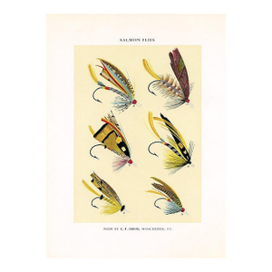 Vintage Salmon Fishing Flies Print by Charles Orvis, Original Vintage Fishing Print, Lithograph