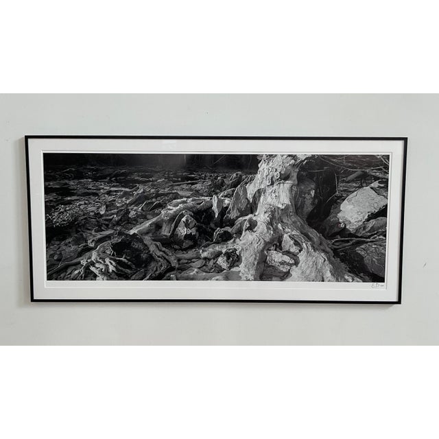 Capture a piece of the Carolinas with this stunning, original large-print photograph by Durham, NC artist Elliot Blumberg....
