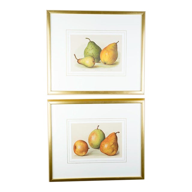 Pair Gold Fillet, Gilt Framed Vintage Pear Bookplates Circa 1890's For Sale