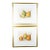 Pair Gold Fillet, Gilt Framed Vintage Pear Bookplates Circa 1890's For Sale