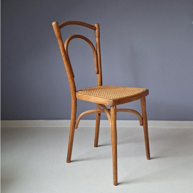 No. 114 Chairs from Thonet, 1900s, Set of 2 For Sale - Image 5 of 17