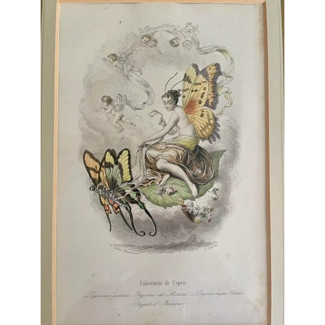 Mid 19th Century “Les Fleurs Animées” Original Hand-Painted Antique French Lithographs 1846, Set of 6, Framed For Sale - Image 9 of 12
