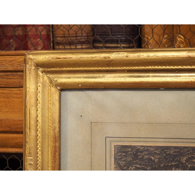 Late 18th Century French Lithograph in Giltwood Frame, After Charles Le Brun For Sale In Dallas - Image 6 of 18