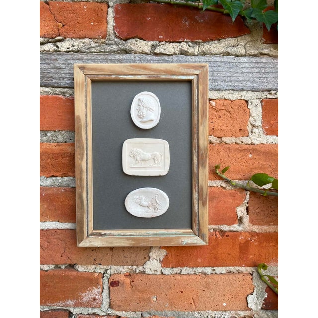 Italian Plaster Intaglios in 1880s Pine Frame For Sale - Image 4 of 8