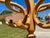 Wood Mid 20th Century Bamboo Hat/Coat Rack Hall Tree Umbrella Holder For Sale - Image 7 of 12