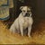 Late 19th Century Faithful Friends of the Manor: The Ellesmere Bay and Bulldog, Dated 1887 For Sale - Image 5 of 7