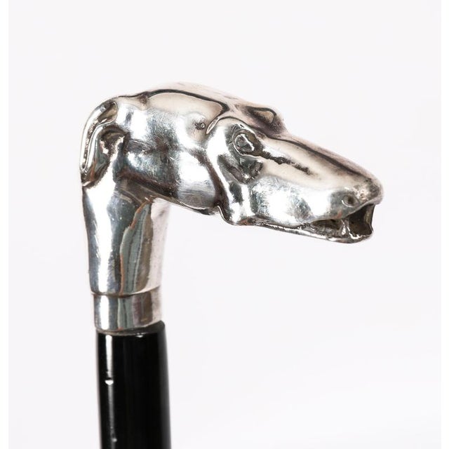19th Century Antique French Silver Greyhound Walking Stick Cane, 1890s For Sale - Image 5 of 8